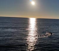 Milford Sound - Rundeise Neuseeland - Südinsel