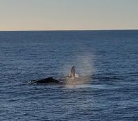 Milford Sound - Rundeise Neuseeland - Südinsel