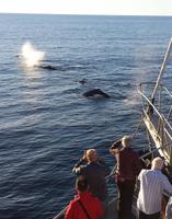 Milford Sound - Rundeise Neuseeland - Südinsel