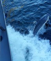 Milford Sound - Rundeise Neuseeland - Südinsel