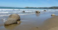 Steinkugeln Moeraki Boulders - Rundeise Neuseeland - Südinsel