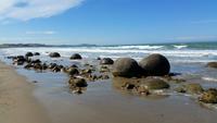 Steinkugeln Moeraki Boulders - Rundeise Neuseeland - Südinsel