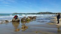 Steinkugeln Moeraki Boulders - Rundeise Neuseeland - Südinsel