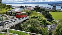 Wellington - Rundeise Neuseeland - Nordinsel