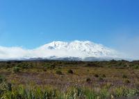 Tongariro-Nationalpark  - Rundeise Neuseeland - Nordinsel