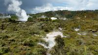 Rotorua - Rundeise Neuseeland - Nordinsel
