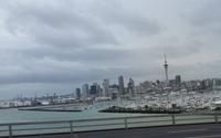 Auckland - Rundeise Neuseeland - Nordinsel