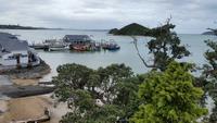 Paihia - Rundeise Neuseeland - Nordinsel