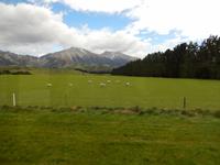 Christchurch - Rundeise Neuseeland