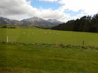 Christchurch - Rundeise Neuseeland