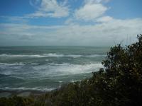 Pfannkuchenfelsen von Punakaiki - Rundreise Neuseeland