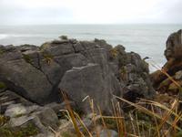 Pfannkuchenfelsen von Punakaiki - Rundreise Neuseeland