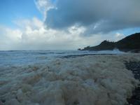 Punakaiki - Rundreise Neuseeland