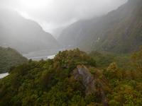Franz Josef Gletscher - Rundeise Neuseeland