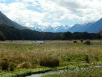 Rundeise Neuseeland - Südinsel