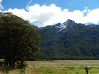 Rundeise Neuseeland - Südinsel