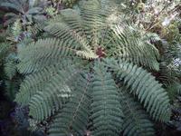 Rundeise Neuseeland - Südinsel