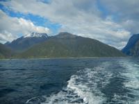 Milford Sound - Rundeise Neuseeland - Südinsel