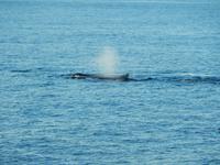 Milford Sound - Rundeise Neuseeland - Südinsel