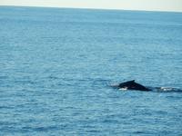 Milford Sound - Rundeise Neuseeland - Südinsel