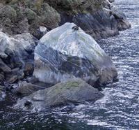 Milford Sound - Rundeise Neuseeland - Südinsel