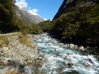 Rundeise Neuseeland - Südinsel