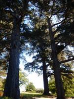 Rundeise Neuseeland - Südinsel