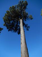 Dunedin - Rundeise Neuseeland - Südinsel