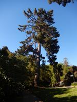 Dunedin - Rundeise Neuseeland - Südinsel