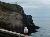 Dunedin - Otago Halbinsel - Rundeise Neuseeland - Südinsel