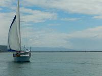 Dunedin - Otago Halbinsel - Rundeise Neuseeland - Südinsel