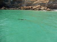 Dunedin - Otago Halbinsel - Rundeise Neuseeland - Südinsel