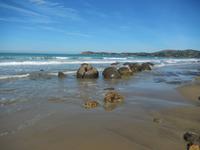 Steinkugeln Moeraki Boulders - Rundeise Neuseeland - Südinsel