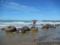 Steinkugeln Moeraki Boulders - Rundeise Neuseeland - Südinsel