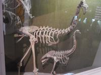 Christchurch - Rundeise Neuseeland