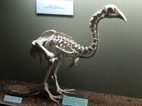 Christchurch - Rundeise Neuseeland