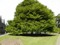 Christchurch - Rundeise Neuseeland