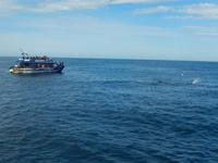 Kaikoura - Rundeise Neuseeland - Südinsel