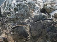 Kaikoura - Rundeise Neuseeland - Südinsel