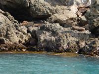 Kaikoura - Rundeise Neuseeland - Südinsel