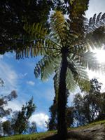 Wellington - Rundeise Neuseeland - Nordinsel