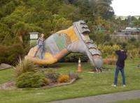 Rundeise Neuseeland - Nordinsel