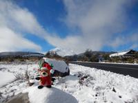 Tongariro-Nationalpark  - Rundeise Neuseeland - Nordinsel