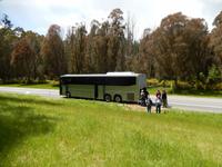 Rundeise Neuseeland - Nordinsel