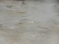 Rotorua - Rundeise Neuseeland - Nordinsel