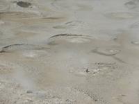 Rotorua - Rundeise Neuseeland - Nordinsel