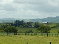 Rundeise Neuseeland - Nordinsel