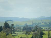 Rundeise Neuseeland - Nordinsel