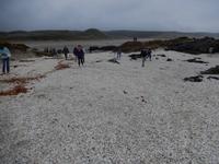 90 Miles Beach - Rundeise Neuseeland - Nordinsel