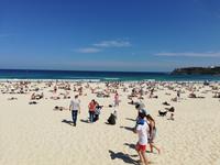 Bondi Beach